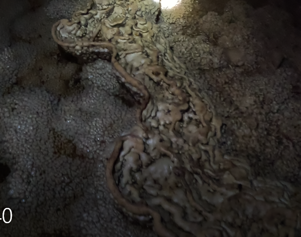 cueva de los diamantes- Tingo Maria - Peru