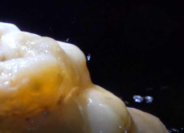 cueva de los cristales-Tingo Maria