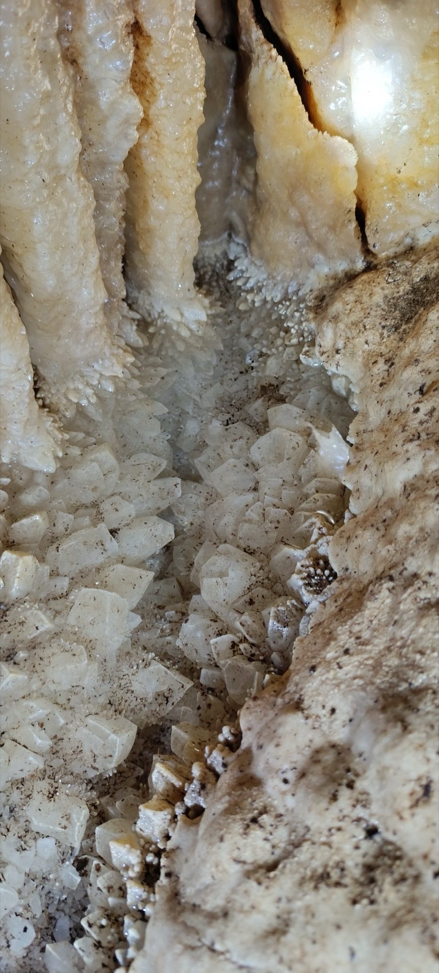 CUEVA COLMILLO DEL PUMA, foto 13
