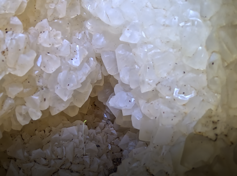 cueva de los diamantes- Tingo Maria - Peru