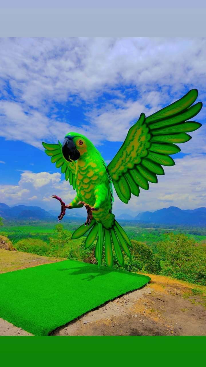 Paseo en bote en el río Monzon