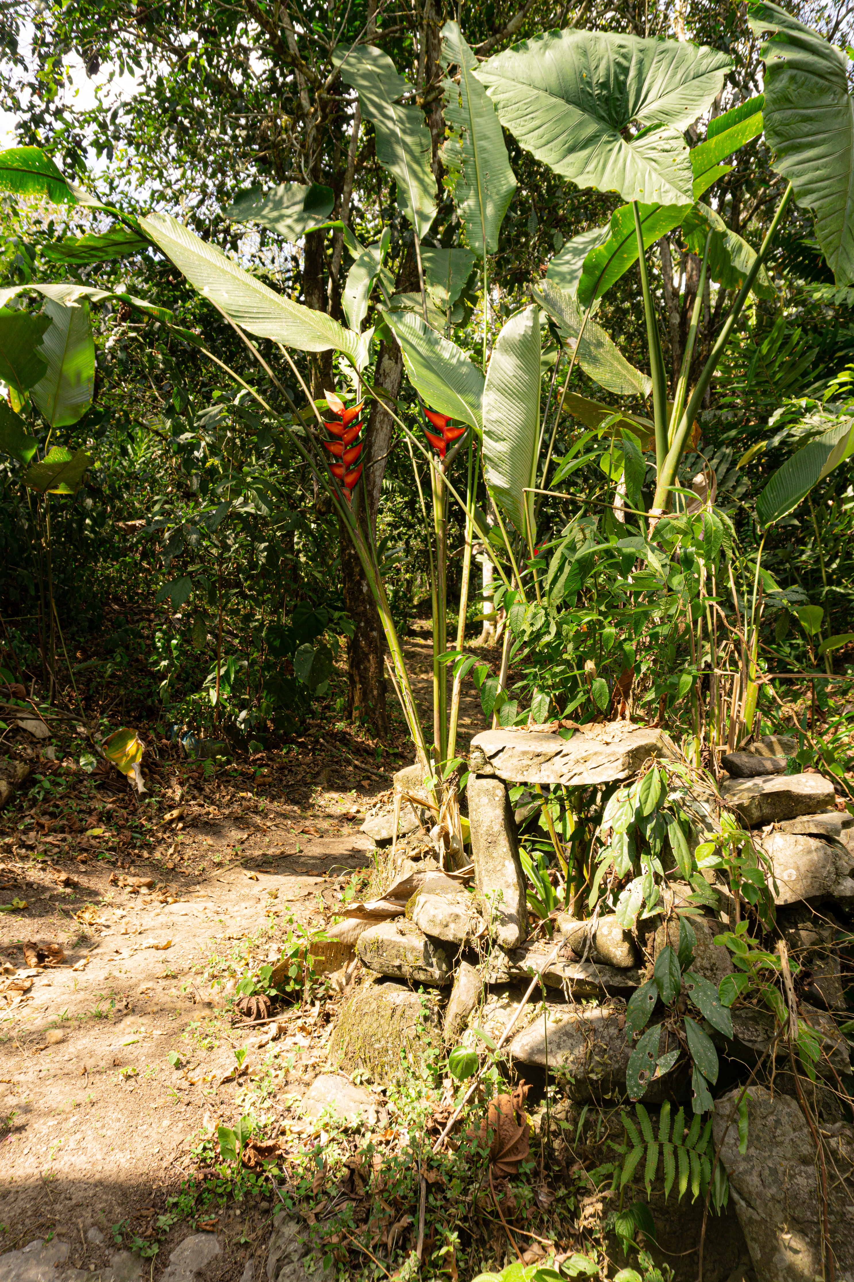 Cascada Jacuzzi Manco Capac