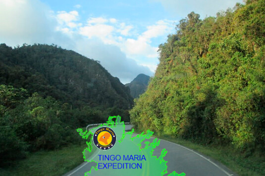 ingreso al parque nacional de tingo maria