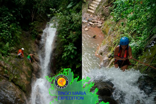 Tragos exoticos el parque nacional de tingo maria